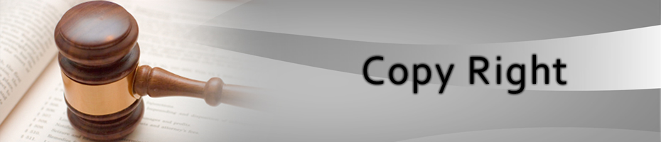 Copyright is a exclusive rights granted to the author or creator of an original work, including the right to copy, distribute and adapt the work. 03